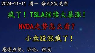 美股 疯了！TSLA继续大暴涨！华尔街这么说TSLA。NVDA走势怎么看？小盘股涨疯了！AMZN在开发一款智能眼镜。AAPL是不是有点悬了？SOXL应该如何调整思路？ARM要提防破位。