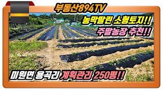 [청주토지매매]컨테이너 농막 딸린 250평 소형토지!! 청주시 상당구 미원면 용곡리 토지매매!!,#청주토지매매,#미원면용곡리토지매매