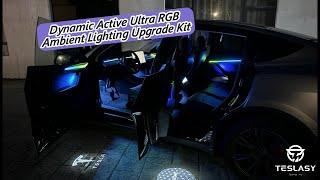 NEW TESLA Ambient Lights Installation Tutorial (TESLASY Ultra RGB Ambient Lighting)