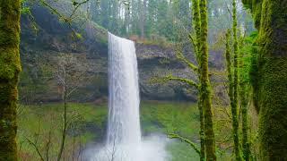 I filmed beautiful places in the forest with a drone