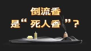 倒流香究竟是不是死人香为什么说倒流香只能观景不能品相