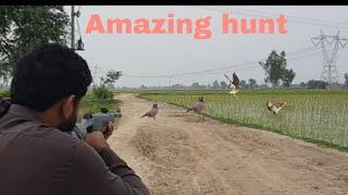 Amazing birds Hunting with airgun| Kashi village vlog