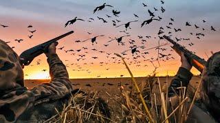 4 GUYS 54 BIRDS! DUCKS SPECKS SNOWS BLUES!