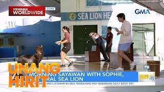 Sea Lion, marunong sumayaw at mag-TikTok?! | Unang HIrit