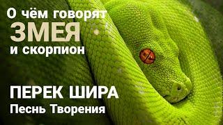 О чём говорят змея и скорпион. Перек Шира. Песнь Творения.