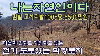 (1020)자연인하기 좋은 위치. 산으로 둘러 쌓인 조용한 남향 농지.둥시감나무 수십주와 고사리밭.면적1005평 매매가 5500만원/경북 상주시 모서면 대포리