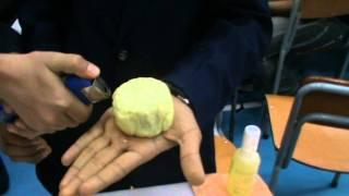 International Indian School Dammam-EduEx 2011-Fireball By Reza Hashimi And Abdul Aziz