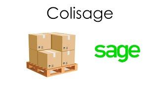 Colisage - Sage 100c