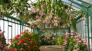 Royal Greenhouses of Laeken (Belgium)/Королевские оранжереи. Лакен, Брюссель