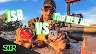 What’s the BEST Pellet - JSB vs JTS