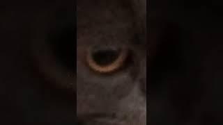 для вас я не кто как и вы для меня