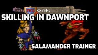 Online skilling 2025 in Dawnport - Fist the monk (salamander trainer)