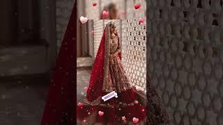 Indian wedding wear lehenga collection by vibhus Collection #shorts #youtubeshorts #viral #lehenga