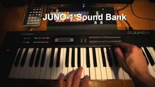 Roland Alpha Juno-1 Synthesizer - vidwerk