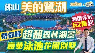 【碧陶居地產·大灣區頻道】佛山 美的鷺湖帶你睇 特價洋房 62萬起 超靚森林湖景 豪華泳池花園別墅！