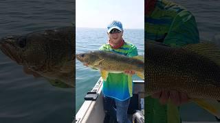 Tank walleye release!! #boat #outdoor #naturelovers #fisherman #fishingtips #angler #outdoorsman