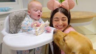 BARNEY GETS A HIGH CHAIR!