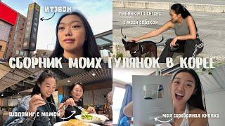 сборная солянка моих гулянок