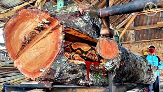 Redwood Destruction at Sawmill