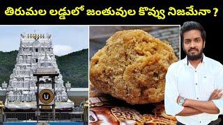 Animal Fat In Tirumala Laddoo