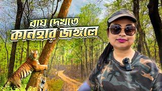 Kanha National Park Tour | Kanha Tour Guide 2024 | কানহা মধ্যপ্রদেশ