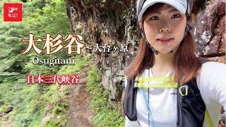 【大杉谷峡谷】日本屈指の秘境登山道【MARiA×ココヘリ】