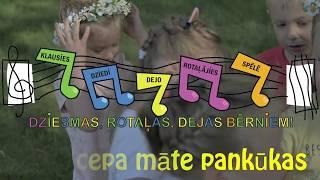 Cepa pankukas