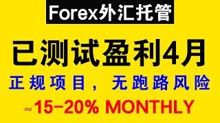 2024重磅新项目：外汇托管，已测试稳定盈利4个月，月利润15-20%，无跑路风险