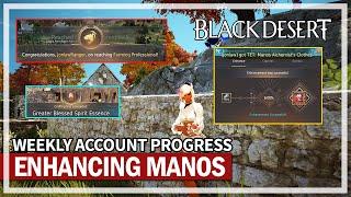 Enhancing Manos Alchemy Clothes & What I'm working on | Black Desert