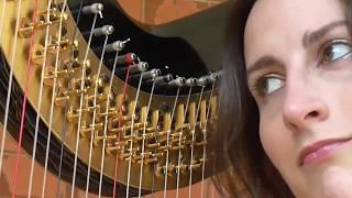 Cecily Beer - beautiful harp music for your event