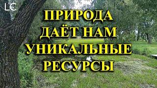 В воздухе разносится мелодичное щебетание птиц. #музыкадлясна #природа