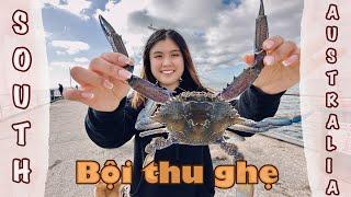 PHẦN 1: LẦN ĐẦU ĐI BẮT GHẸ, CÂU MỰC Ở SOUTH AUSTRALIA | LÁI XE XUYÊN TIỂU BANG 10 TIẾNG (VLOG 140)