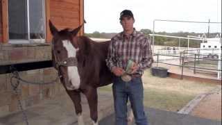 Patrick Smith's DRIVEN DVD - Saddling Preparation