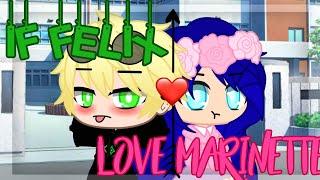 If Felix Fall In Love With Marinette || Gachaclub ||miraculous ladybug gacha