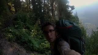 Hoh Rainforest & Blue Glacier Backpacking