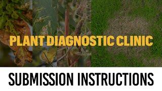 MU Plant Diagnostic Clinic Sample Submission Instructions