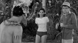 Mary Ann of Gilligan's Island