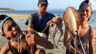 Musim cumi, gurita, ikan banyak terjebak di pantai saat air surut