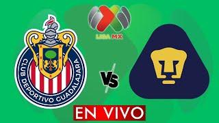 GUADALAJARA VS PUMAS EN VIVO - LIGA MX APERTURA 2024 - JORNADA 15 -  DONDE VER EN VIVO