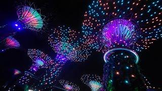 Gardens By The Bay | Lighting Show | Singapore