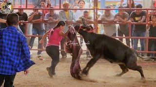 VALIENTE MUJER TOREANDO A UNA VAQUILLA EN LA SIERRA JUAREZ