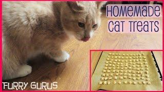 Homemade Tuna Cat Treats | Furry Gurus