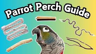 Parrot Perch Guide | Complete Guide To Bird Perches | TheParrotTeacher AD