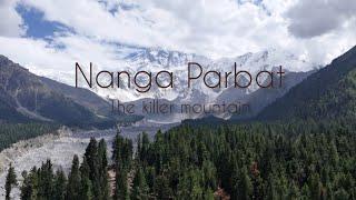 Fairy meadows. ️ love at first sightNanga parbat /نانگا پربت فیری میڈوز سڑک یا پل صراط/عشق اولین