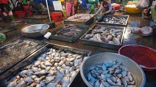 Amazing Site Distribute Fish, SeaFood @Prek Phnov Bridge - Morning Fish Market Scene at Prek Phnov