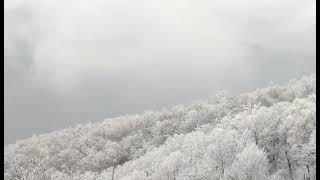 Soft rime in Hangzhou's Lin'an