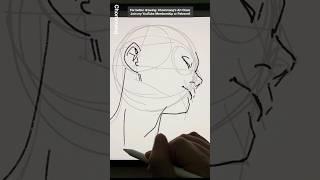 Face drawing method  #drawing #bodysketch #howtodrawaface