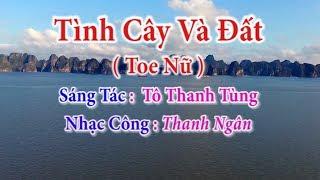 Tình Cây Và Đất ( Toe Nữ ) - Karaoke Nhạc Sống Thanh Ngân