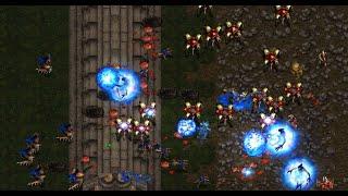 ONE SHOT, ONE KILL - Queen  (Z) vs Snow  (P) on Citadel - StarCraft - Brood War REMASTERED