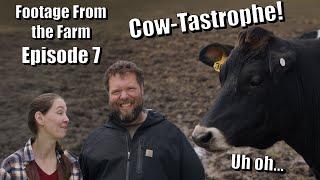 Footage From The Farm: Episode 7 - Can Charles Avoid Cow-Tastrophe!